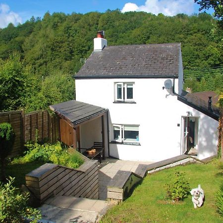 Peacock Cottage Cinderford Экстерьер фото