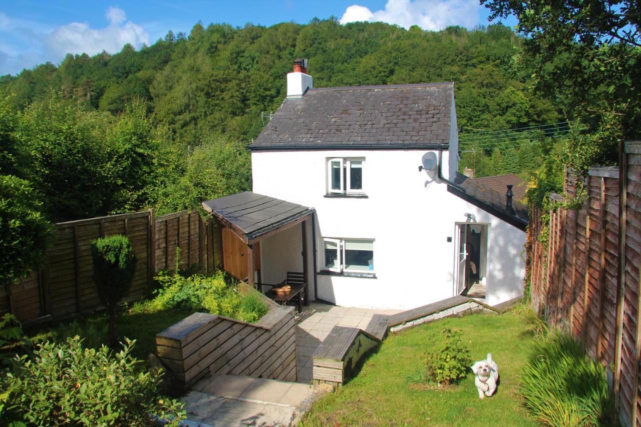 Peacock Cottage Cinderford Экстерьер фото